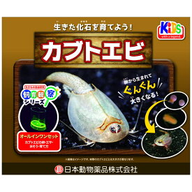 【ハッピーベル】飼育観察セットカブトエビ