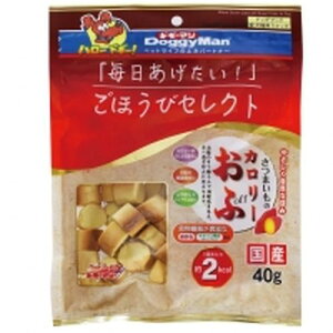 y}\10%OFFN[|zقуZNg@܂̃J[Ӂyܖ 20260630z