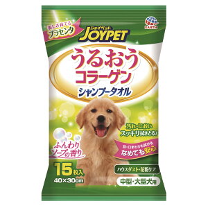 ���i�摜