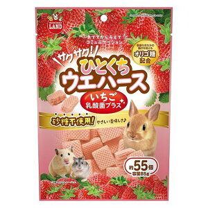 y}\10%OFFN[|zTNTNIЂƂEGn[X@@_ۃvXyܖ 20270430z