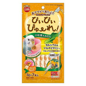 ynbs[xz҂҂҂[@؁݂yܖ 20270331z