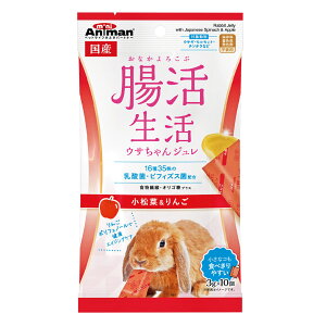 y}\10%OFFN[|z@ETW@؁񂲁yܖ 20261231z