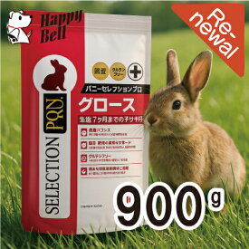 【0の日10％OFFクーポン配布中】バニー セレクションプロ グルテンフリー グロース 1kg（ 250g×4 ）【賞味期限 20260731】