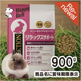 【0の日10％OFFクーポン配布中】バニー セレクションプロ グルテンフリー ネザーランドドワーフ専用 1kg（ 250g×4 ）【賞味期限 20260831】