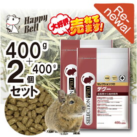 【市場の日　18％OFFクーポン配布中】【2個セット】デグーセレクションプロ400g（200g×2）【賞味期限 2027-09-30】