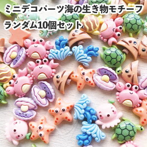 y12/11܂ŊyVX[p[SALE|Cg10{N[|z~jfRp[c _A\[g 10Zbg C̐`[tZbg fR[Vp[c