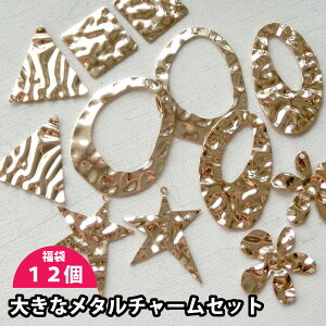 y lR|Xz傫ȃ`[ pbN 12*