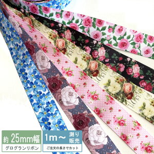 OO [1mv蔄]OO{ ԕ 25mm(S6jKN