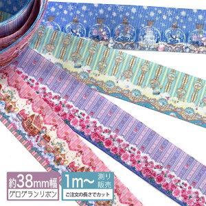 OO [1mv蔄]OO{ 38mmit@^W[ w ߂ pXe S4j