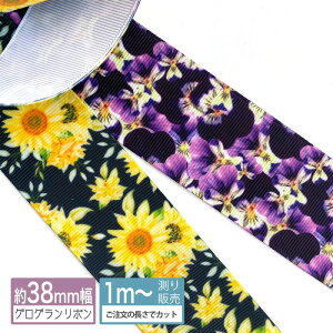 OO [1mv蔄]OO{ 38mmiԕ rI Ђ܂j