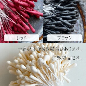 Ԑc t[ybv ނ t a2mm 10g 250{iS10Fj*