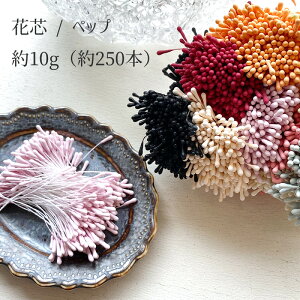 Ԑc t[ybv ނ t a2mm 10g 250{iS10Fj*