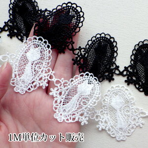 [X 1mv蔄 P~J[X t[t[̔L   5.0cm*