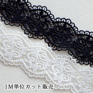 [X 1mv蔄 P~J[X 3̖΂ ӂsRbg 35mm zCg ubN