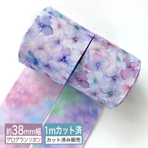 OO{ y1mJbgς݁zo[Vu{iz  sN u[j vg{ 38mmiS6ށj