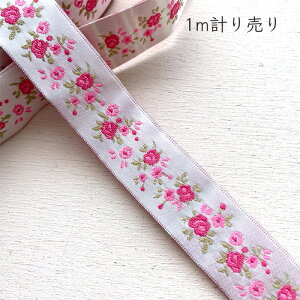 hJ{ 1mv蔄 2.5cm Ten  hイ