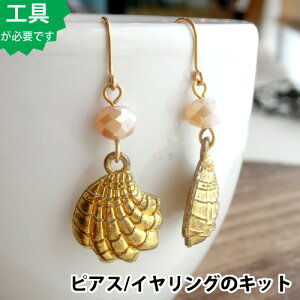 yANZT[ r[Y LbgzLk`[ƃKXr[ỸsAXLbg*