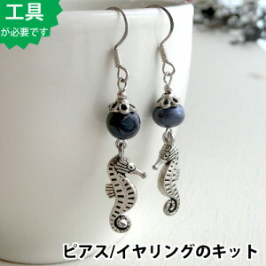 ysAX̃LbgzubNJ[Wp[̃sAXiVo[j