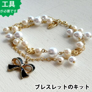 yr[YANZT[̃Lbgzp[ƍ{̃_uCuXbgiS[hj