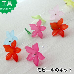 |Lbgyr[̃LbgzANt[ƃKXr[Ỹr[iJtj