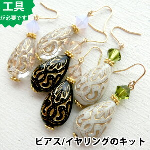 |Lbgyr[YANZT[̃LbgzXtXL[NX^ƃhbṽsAXiS[hj