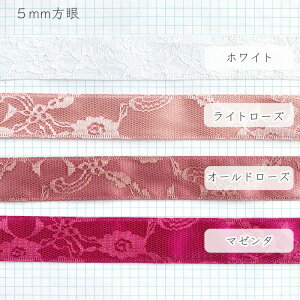 [X{ Te{ 25mmiS10Fj [1mv蔄] { | nhCh{