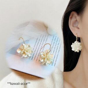 BIGp[r[Y{[ X^bht[vsAX S[h