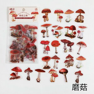 XNbvubLO V[  Zn t[NV[ t[  A O[ ̂yԐD艮z