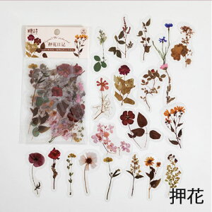 XNbvubLO V[  Zn t[NV[ t[  A O[ ̂yԐD艮z