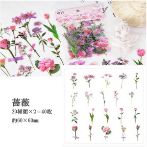 XNbvubLO V[ Zn `[bvi6ށj yԐD艮z