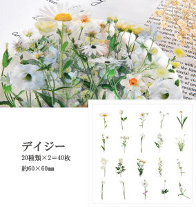 XNbvubLO V[ Zn `[bvi6ށj yԐD艮z