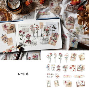 XNbvubLO V[ hCt[V[i4ށj yԐD艮z