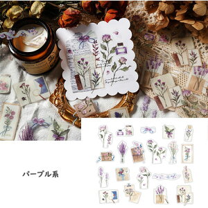 XNbvubLO V[ hCt[V[i4ށj yԐD艮z