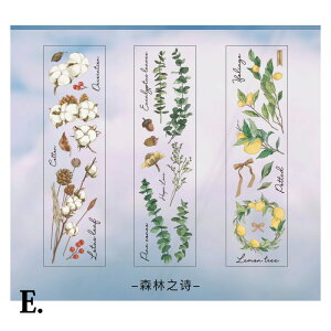 XNbvubLO ԃV[Y [tXebJ[i6ށj yԐD艮z