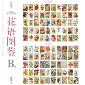 XNbvubLO { ~jGfUCy[p[ i8ށj yԐD艮z