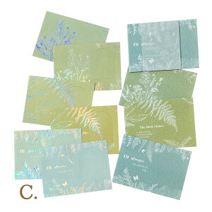 XNbvubLO fUCy[p[ Ԃ̒V[Yi4ށjmԐD艮n