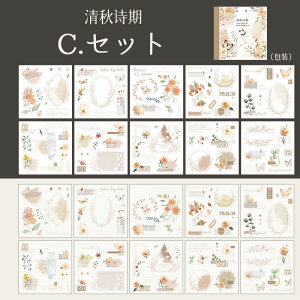 XNbvubLO JԃV[Y AXebJ[i4ށj yԐD艮z