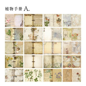 XNbvubLO R[Wf  Â{̃y[WV[Yi4ށjmԐD艮n