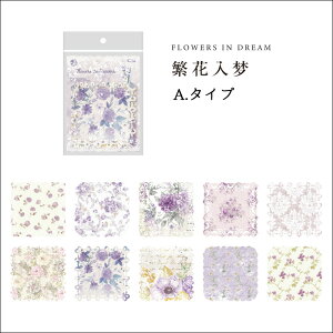 XNbvubLO [Xy[p[ gԕy[p[ 6ށyԐD艮z