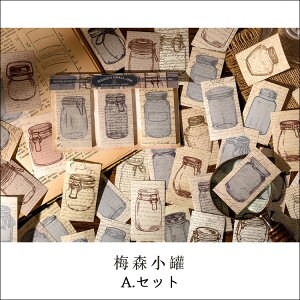 XNbvubLO R[Wf  Âr̃y[p[i2ށjmԐD艮n