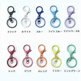ナスカン付カラー キーホルダー金具 アクセサリーパーツ ハンドメイド チャーム デコレーション 基礎パーツ