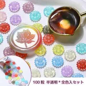 V[ObNX V[OX^v y100zLfBJ[ t[`[t`bv iS4ށjyԐD艮z