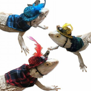 gJQ ObY ঒ ybg mgJQVNnbgZbg XRbgh ϐgRX`[ 畆ی ঒  p ȒP U  gJQ COAi Ip qE