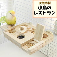 インコ 知育玩具 バードフィーダー 餌台 餌入れ おもちゃ 訓練 運動不足 ストレス解消 小鳥 中型インコ …