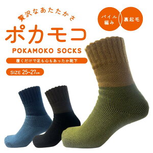 |JRC  C am j oCJ[ ԊOH N pC҂ ₦΍  ~ \bNX