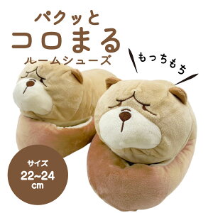 pNbƃR܂郋[V[Y@ [V[Y ʁ@ @ @@~߁@₦@uT@킢 [\bNX Xbp 22-24cm