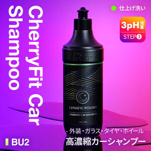 yuY BULLSONEz ԗp Vv[ `F[tBbgJ[Vv[ BU2 500ml ZkE RXpŋ ͐EEALx `F[̍ O/KX/zC[/^C