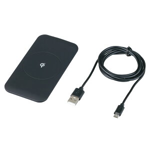 ZC(SEIWA) CX`[WpbhQi 15W D592 CX[d QiKF [J[ X}[gtH