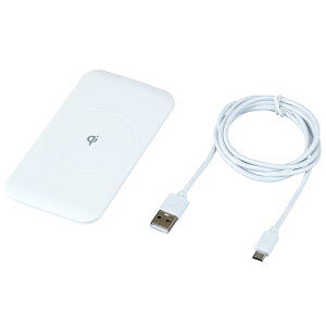 ZC(SEIWA) CX`[WpbhQi 15W zCg D593 CX[d X}[gtH[d [J[