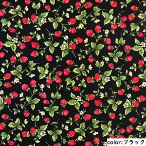 y50cmPʁzRbg  n { z 100% vg sN  u[ F zCg  ubN  lCr[ {y2m܂Ń[֑Ήz